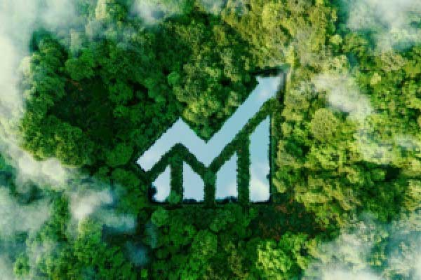 事关黄金白银！交易所出手